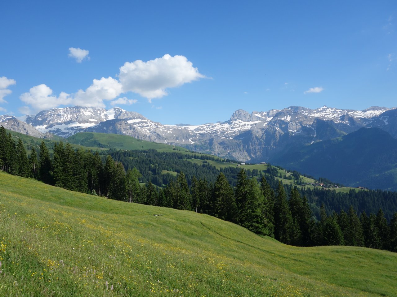 Die "Skyline" der Lenk - die Berge zum Talabschluss.