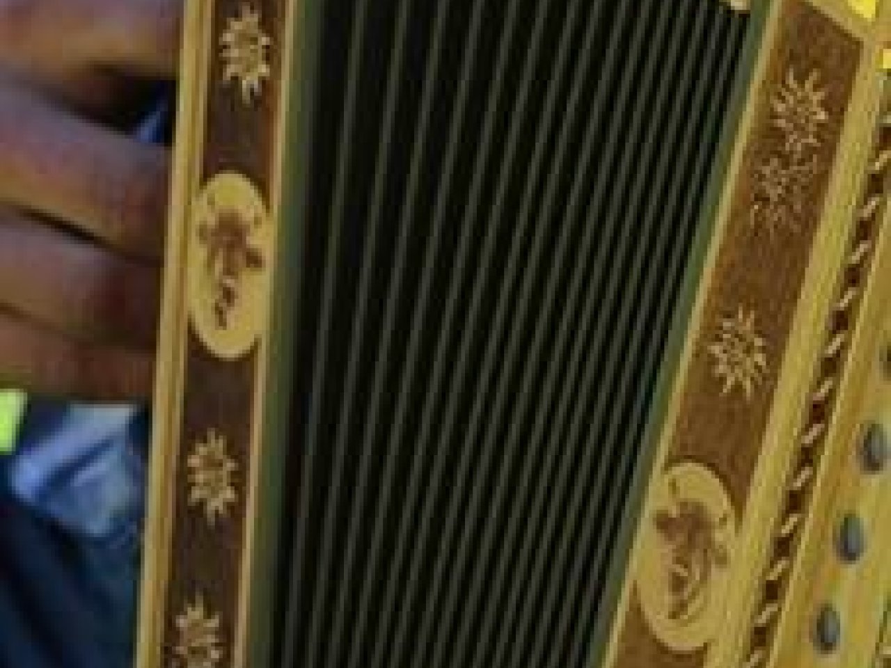 Eine Handorgel, die ganz nah im Bild dargestellt wird. Es sind auch Schnitzereien von Kühen und Alpenblumen zu erkennen.