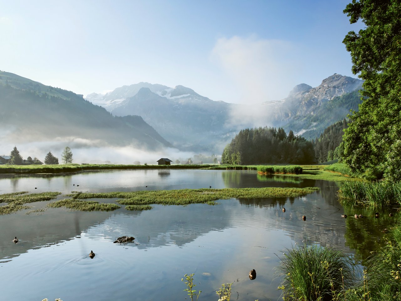 Das Lenkerseeli im Vordergrund mit schönem Nebel und sonnigen Bergen im Hintergrund.